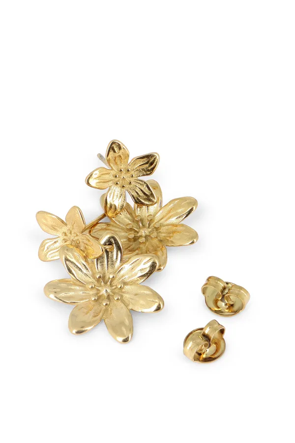 Boucles Assna