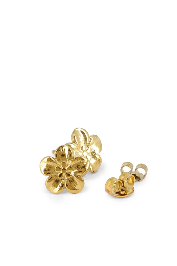 Boucles Cyliane
