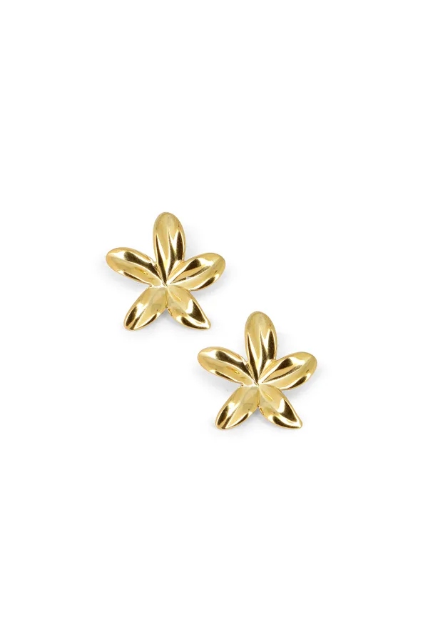 Boucles Lisette