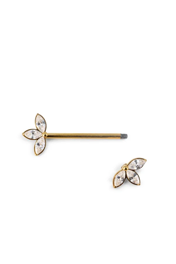 Piercing Amara