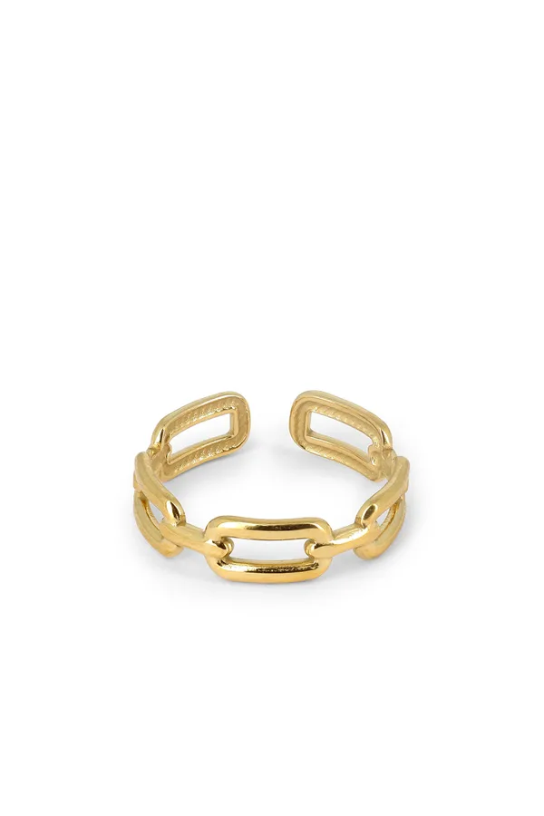 Bague Anide