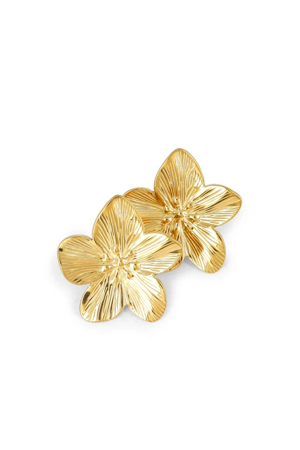 Boucles Tiphanie