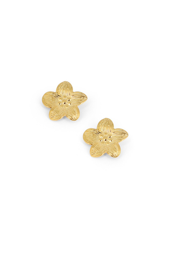 Boucles Diem