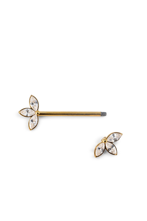 Piercing Amara
