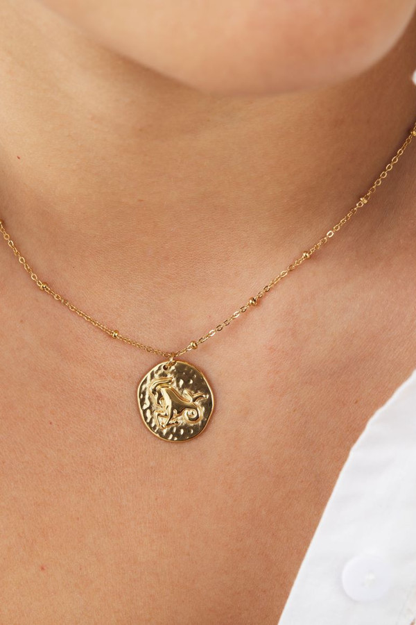 collier capricorne