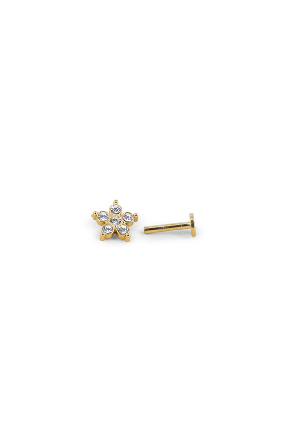 Piercing Dahlia