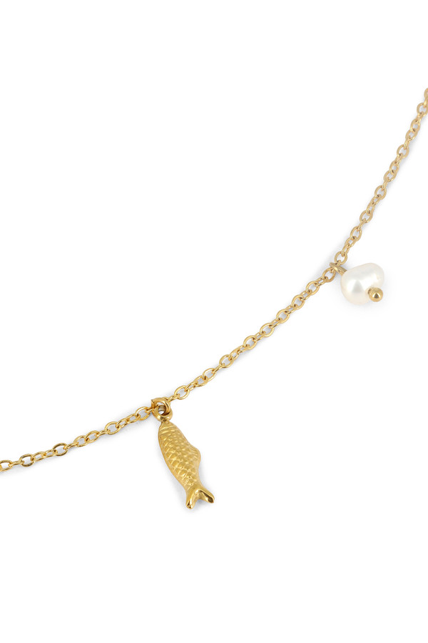 Collier Marine