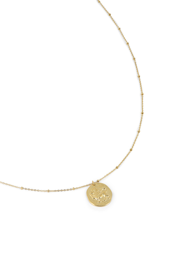 collier lion