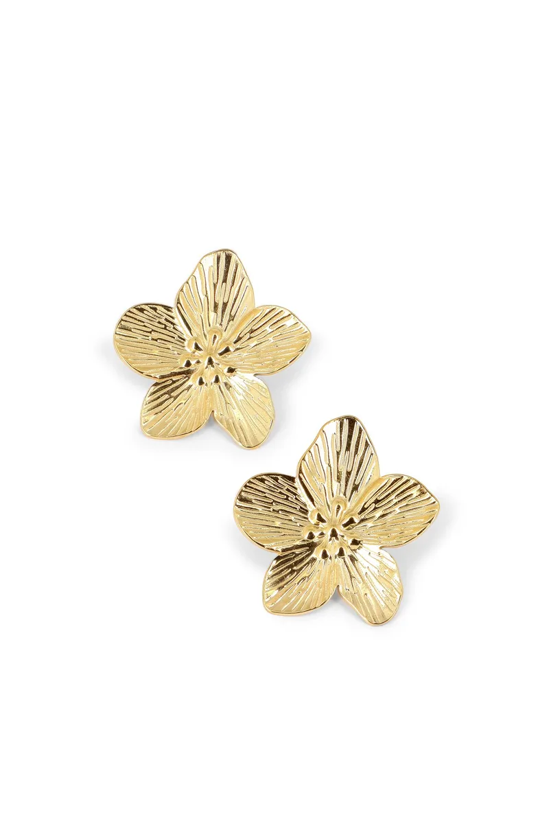 Boucles Alida