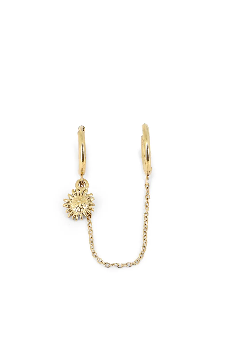 Boucles Stellasie