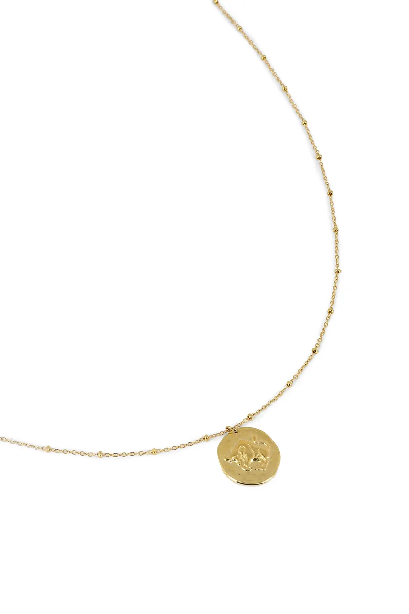 collier taureau