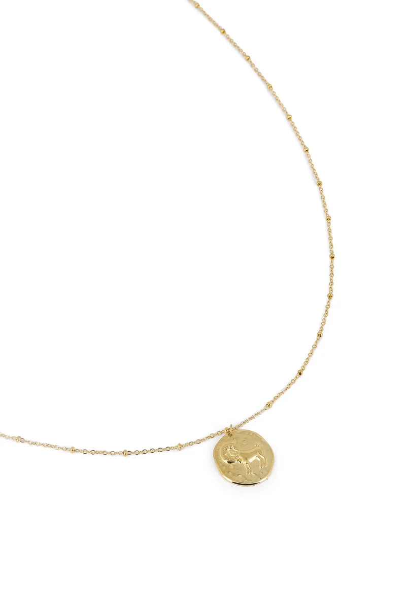 collier bélier