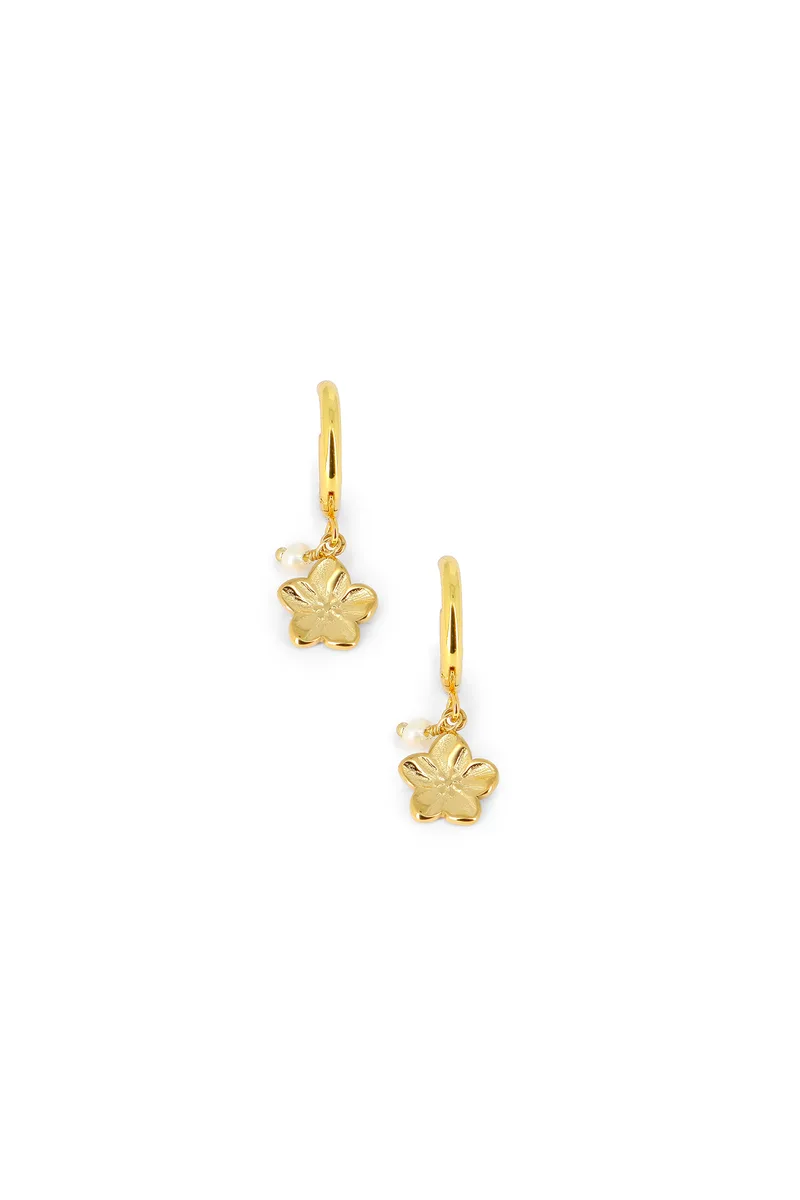 Boucles Nolane