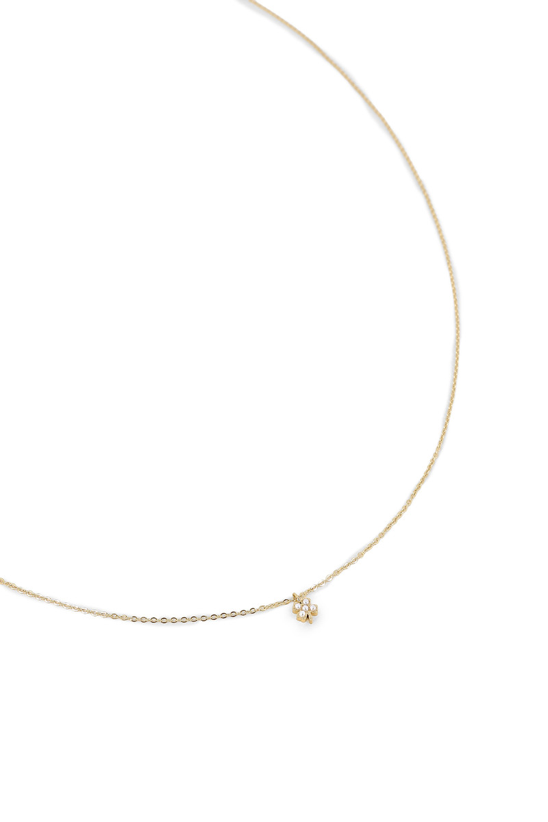 Collier Edelweiss