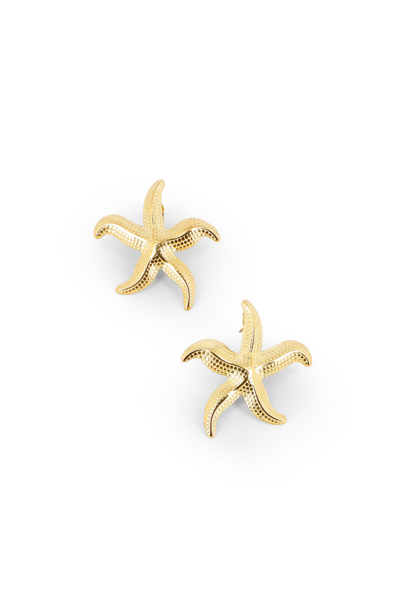 Boucles Starrie