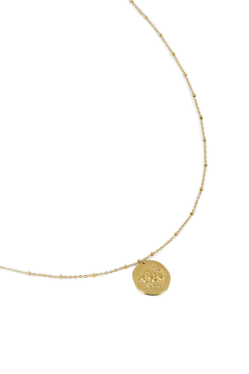 collier taureau