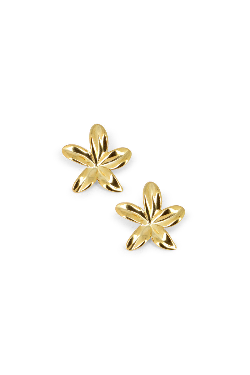 Boucles Lisette